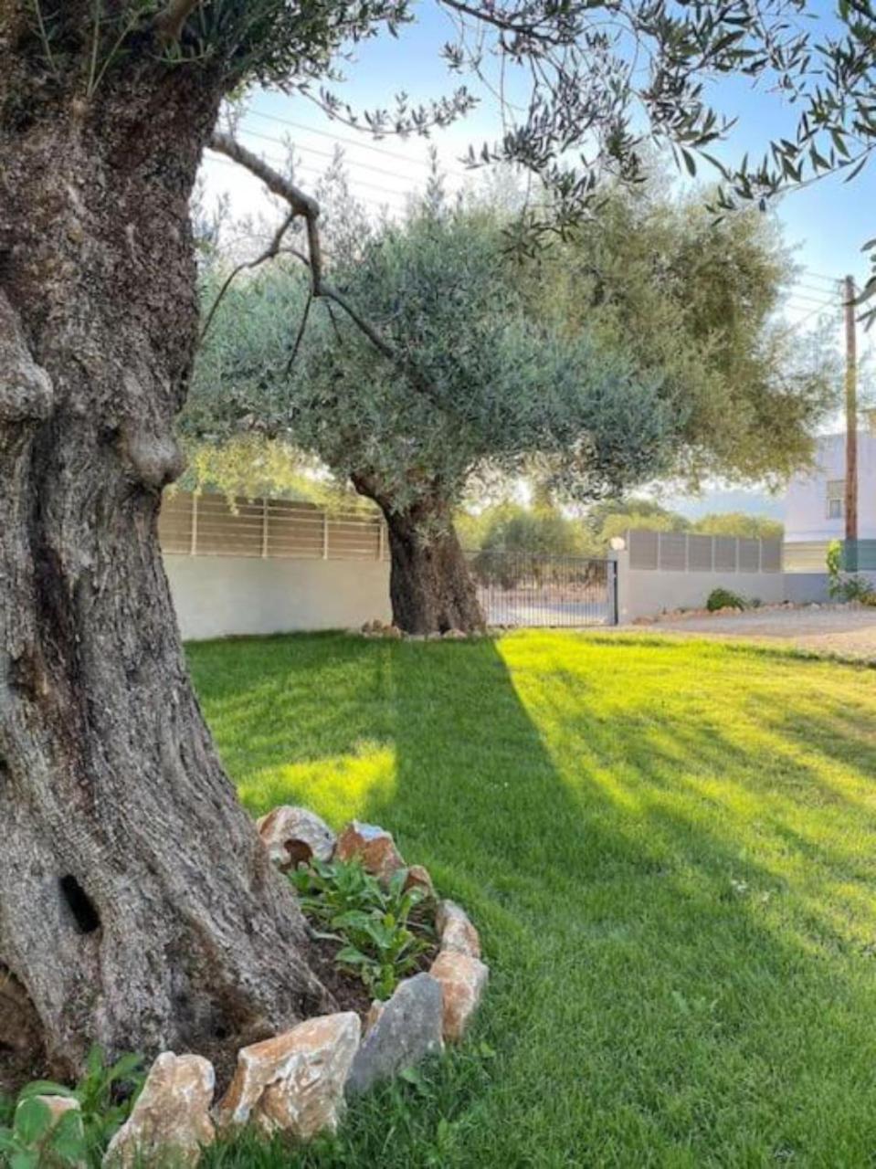 Olives Villa Sinoikismos Kambos المظهر الخارجي الصورة
