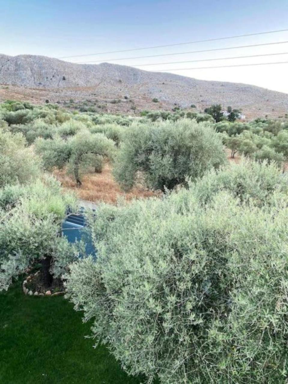 Olives Villa Sinoikismos Kambos المظهر الخارجي الصورة